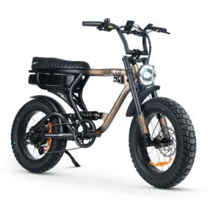 ACE-X PRO Dual Suspension Electric Bike  18 reviews